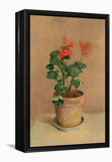 Geraniums in a Pot, c.1905-Odilon Redon-Framed Premier Image Canvas