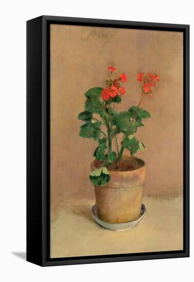 Geraniums in a Pot, c.1905-Odilon Redon-Framed Premier Image Canvas