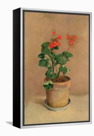 Geraniums in a Pot, c.1905-Odilon Redon-Framed Premier Image Canvas