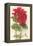 Geraniums-null-Framed Stretched Canvas