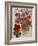 Geraniums-Vintage Apple Collection-Framed Giclee Print