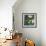Geraniums-Koloman Moser-Framed Giclee Print displayed on a wall