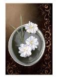 White Jasmine-Gerard Beauvoir-Art Print