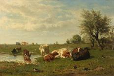 Cows in the Meadow-Gerard Bilders-Stretched Canvas