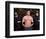 Gerard Butler-null-Framed Photo