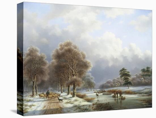 Stretched Canvas Print, , large