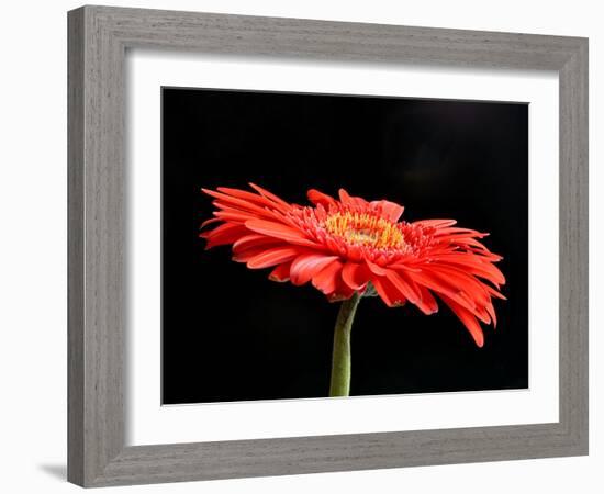 Gerber Angle V-Jim Christensen-Framed Photographic Print