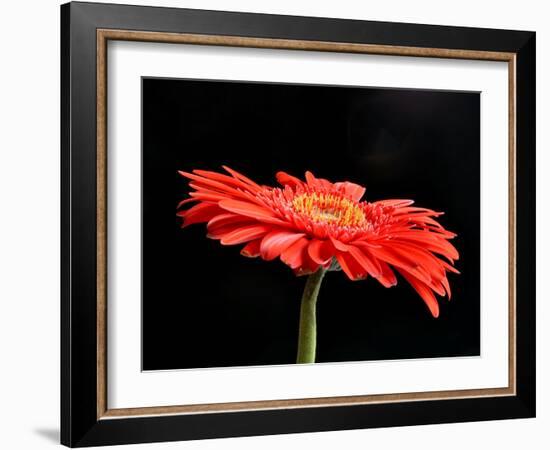 Gerber Angle V-Jim Christensen-Framed Photographic Print