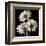 Gerber Daisies 2-Michael Harrison-Framed Art Print