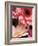 Gerber daisies-Angela Drury-Framed Photographic Print