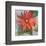 Gerber Daisy-null-Framed Art Print