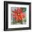 Gerber Daisy-null-Framed Art Print