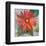 Gerber Daisy-null-Framed Art Print