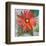 Gerber Daisy-null-Framed Art Print