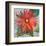 Gerber Daisy-null-Framed Art Print