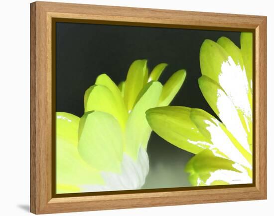 Gerber Time Green I-Herb Dickinson-Framed Premier Image Canvas