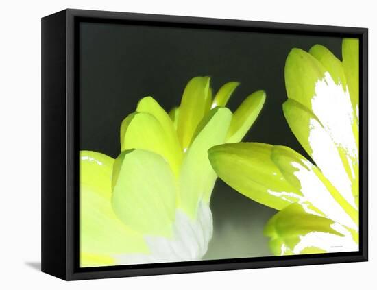 Gerber Time Green I-Herb Dickinson-Framed Premier Image Canvas