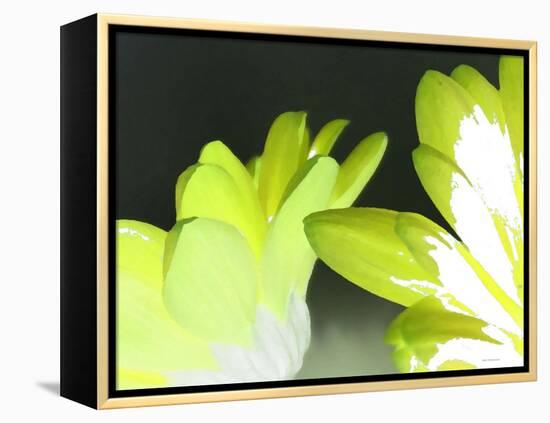 Gerber Time Green I-Herb Dickinson-Framed Premier Image Canvas