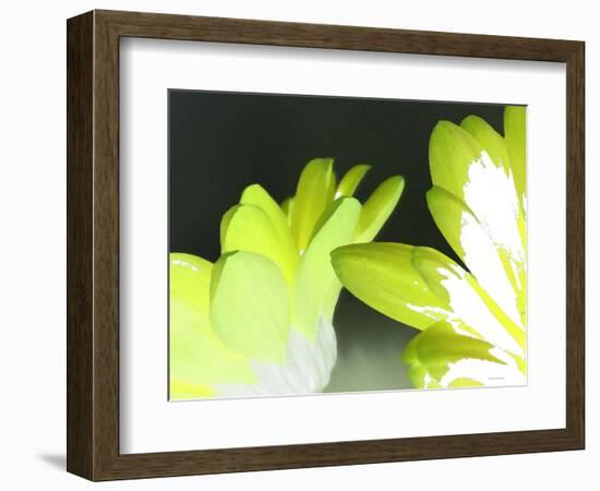 Gerber Time Green I-Herb Dickinson-Framed Photographic Print