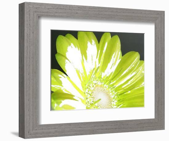 Gerber Time Green II-Herb Dickinson-Framed Photographic Print