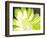 Gerber Time Green II-Herb Dickinson-Framed Photographic Print