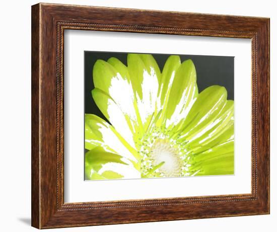 Gerber Time Green II-Herb Dickinson-Framed Photographic Print