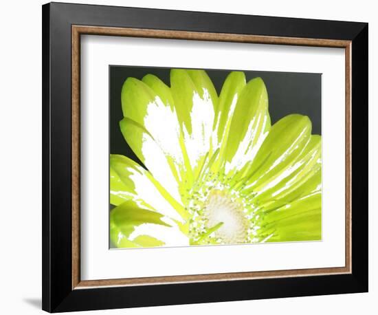 Gerber Time Green II-Herb Dickinson-Framed Photographic Print