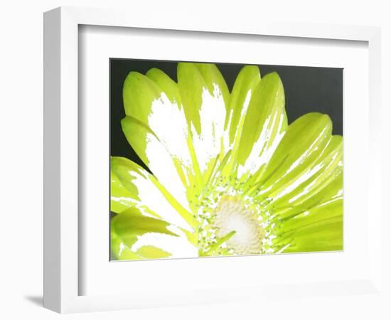 Gerber Time Green II-Herb Dickinson-Framed Photographic Print