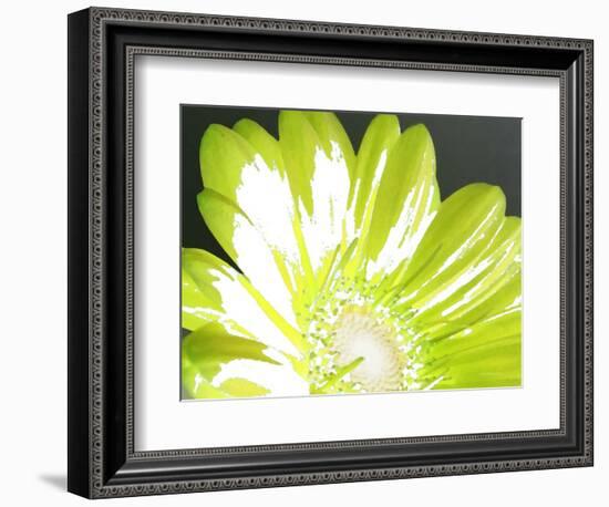 Gerber Time Green II-Herb Dickinson-Framed Photographic Print