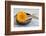 Gerbera Blossom, Driftwood, Shell-Andrea Haase-Framed Photographic Print