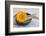 Gerbera Blossom, Driftwood, Shell-Andrea Haase-Framed Photographic Print