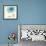 Gerbera Blue II-Chris Paschke-Framed Art Print displayed on a wall