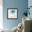 Gerbera Blue II-Chris Paschke-Framed Premium Giclee Print displayed on a wall