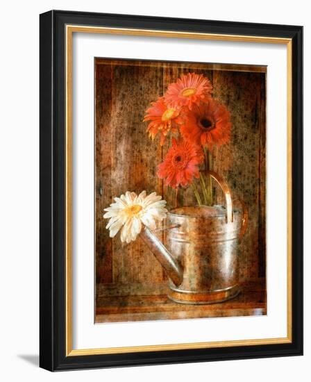 Gerbera Daisies in a Watering Can-Colin Anderson-Framed Photographic Print