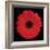 Gerbera Daisy Red-Jim Christensen-Framed Photo