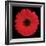 Gerbera Daisy Red-Jim Christensen-Framed Photo