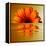 Gerbera Flower as Rising Sun-Winfred Evers-Framed Premier Image Canvas