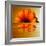 Gerbera Flower as Rising Sun-Winfred Evers-Framed Photographic Print