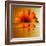 Gerbera Flower as Rising Sun-Winfred Evers-Framed Photographic Print