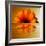 Gerbera Flower as Rising Sun-Winfred Evers-Framed Photographic Print