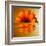 Gerbera Flower as Rising Sun-Winfred Evers-Framed Premium Photographic Print