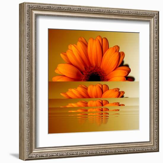 Gerbera Flower as Rising Sun-Winfred Evers-Framed Premium Photographic Print