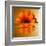 Gerbera Flower as Rising Sun-Winfred Evers-Framed Premium Photographic Print