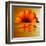 Gerbera Flower as Rising Sun-Winfred Evers-Framed Premium Photographic Print