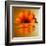 Gerbera Flower as Rising Sun-Winfred Evers-Framed Premium Photographic Print