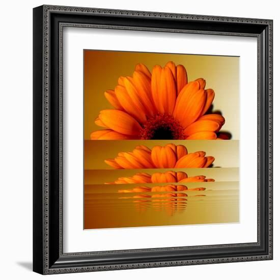 Gerbera Flower as Rising Sun-Winfred Evers-Framed Premium Photographic Print