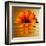 Gerbera Flower as Rising Sun-Winfred Evers-Framed Premium Photographic Print