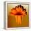 Gerbera Flower Melting, Digital Manipulation-Winfred Evers-Framed Premier Image Canvas