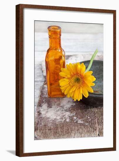 Gerbera, Flower, Orange, Glass Bottle-Andrea Haase-Framed Photographic Print