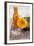 Gerbera, Flower, Orange, Glass Bottle-Andrea Haase-Framed Photographic Print